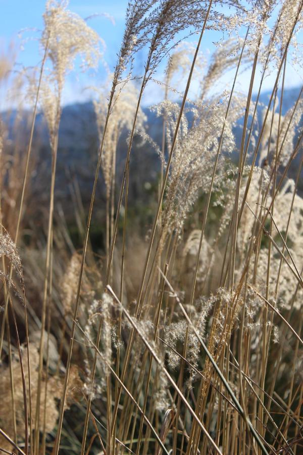 Chez Elles En Provence Βίλα Nans-les-Pins Εξωτερικό φωτογραφία